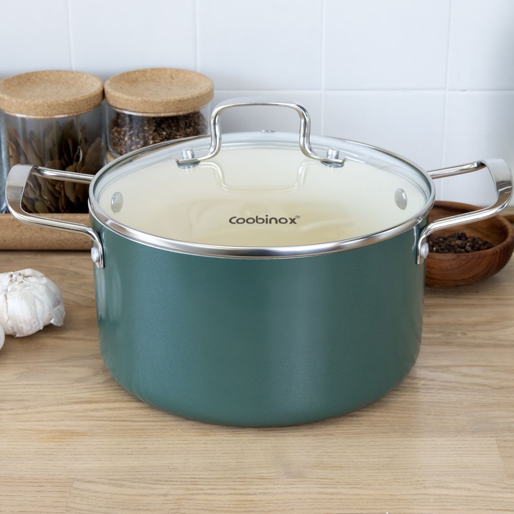 Coobinox® MUSH Pine Ceramic Coating Induction Double-Handled Pot 20cm(CO-13-04) Non-Stick Aluminum Body with Glass Lid